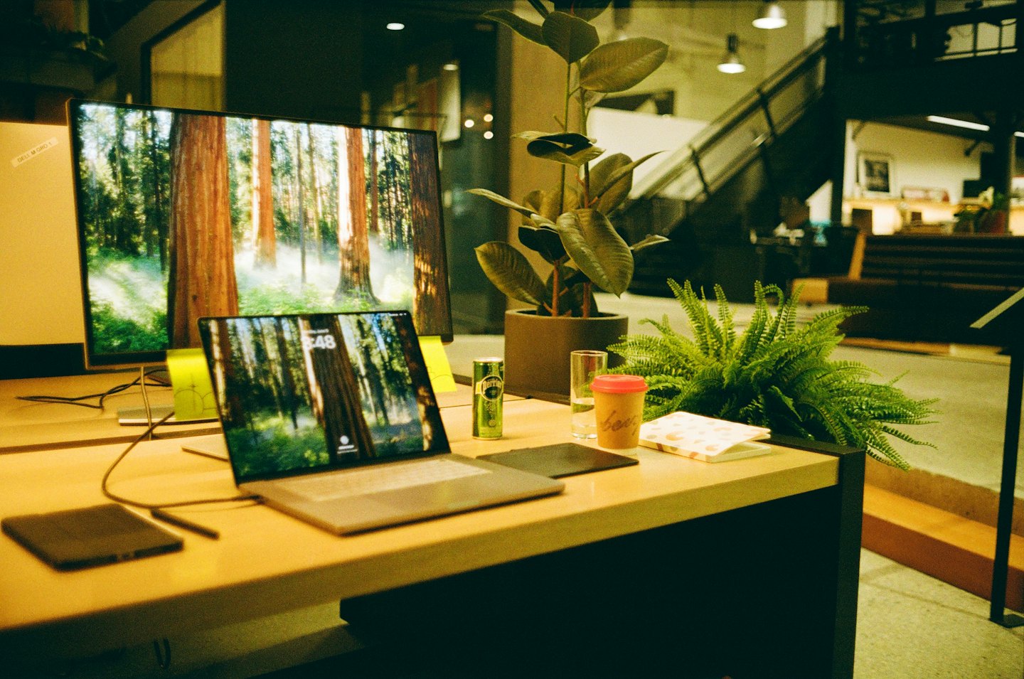 Laptop and monitor displaying forest landscapes on a wooden desk.